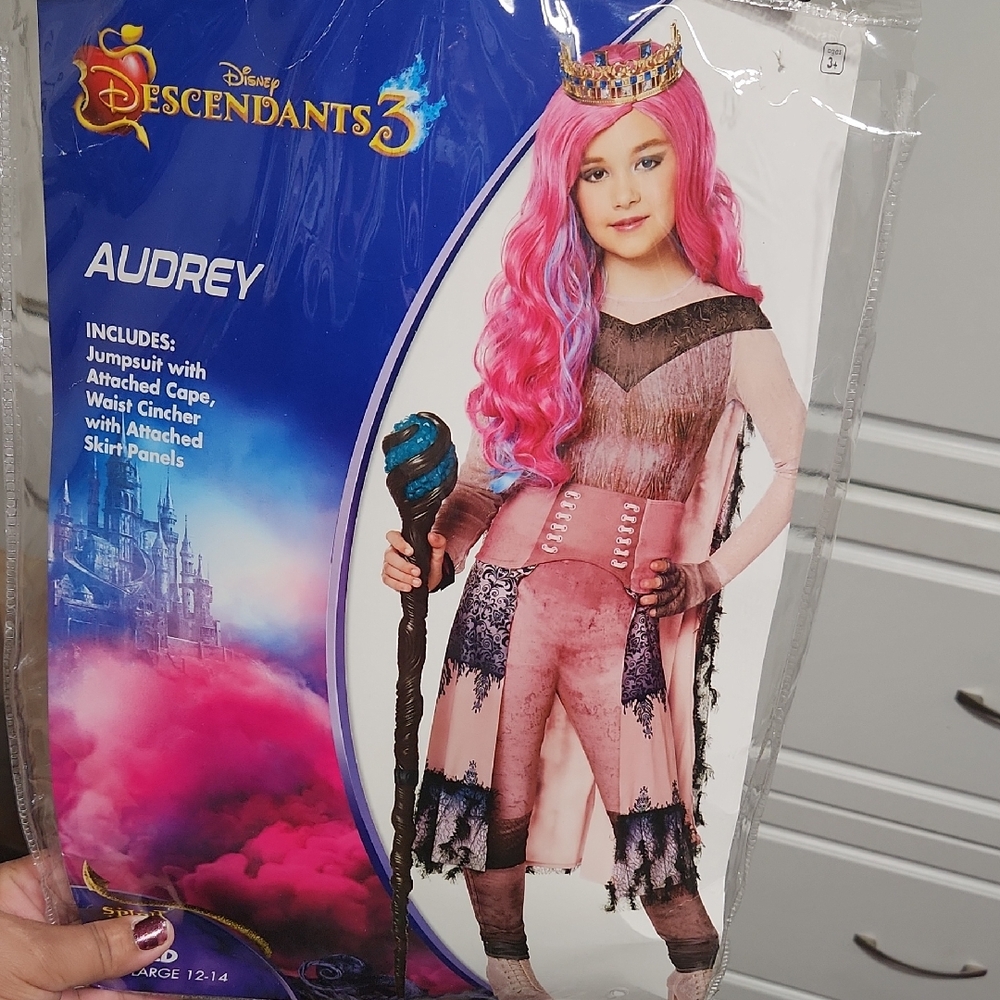 Disney Descendants Kids Costume